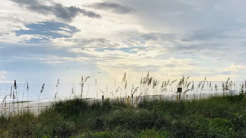 Little Hickory Island Park