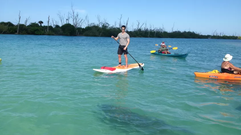 Paddling with manatees 