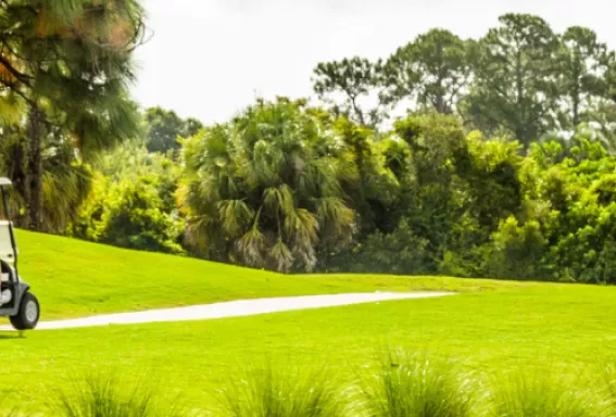 a golf cart drives on a path in between holes. 