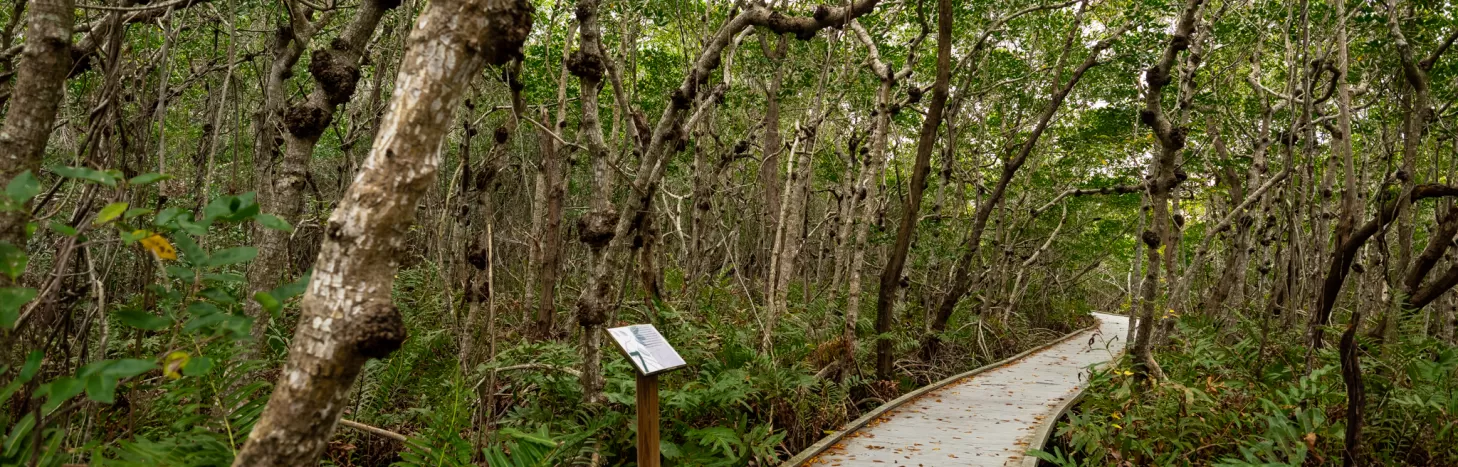 Explore Cape Coral's natural wonders