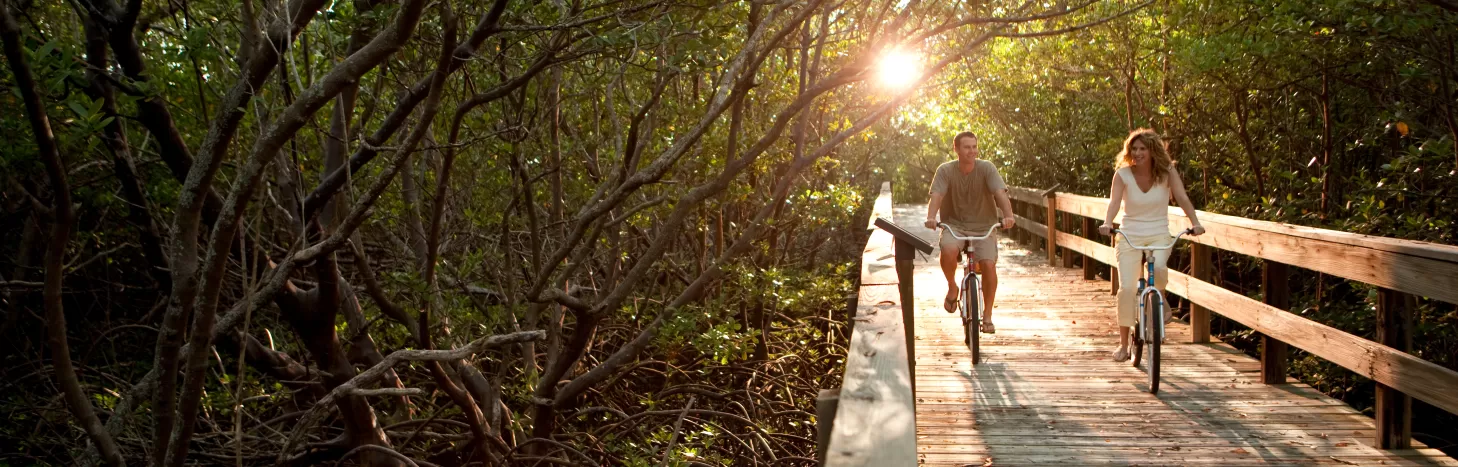 Cyclists riding along a nature trail